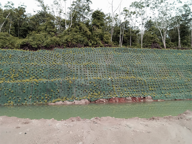 Erosion Control